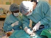 vetmed-Bonn GmbH - 2