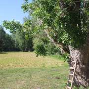 Bild von Vierburg Bützow in Bützow - 7