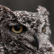 viertel9media - GALLERY