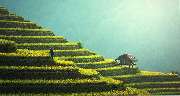 Vietnam Adventure - GALLERY