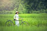 Vietnam Adventure - GALLERY