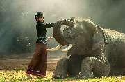 Vietnam Adventure - GALLERY