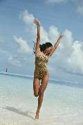 VILEBREQUIN - Cruise 25 Collection