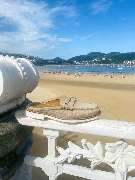 VILEBREQUIN - Cruise 25 Collection