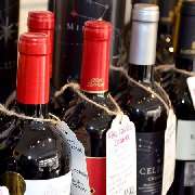 Villa Vier Olde - GALLERY