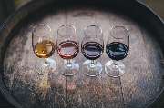 Vinarium - GALLERY