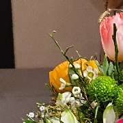 Vineola.de - Weine aus Italien - GALLERY