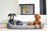 Visco4Dogs GbR - 5