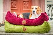 Visco4Dogs GbR - 8