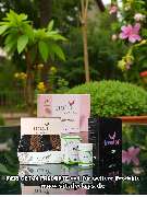 Vitalydays - GALLERY