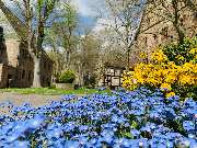 Vitos Haina - GALLERY