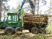 Volker Schindel - Holzeinschlag