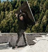 voltonic Solarsysteme GmbH - 3