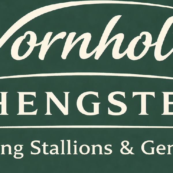 Vornholt Hengste - GALLERY
