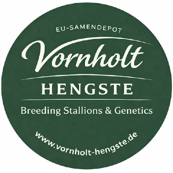 Vornholt Hengste - GALLERY