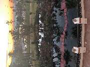 VSB VISA SERVICE GmbH - GALLERY