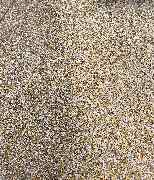 VWS Dienstleistungen - GALLERY