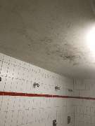 VWS Dienstleistungen - GALLERY