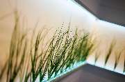 W.P. highlights GmbH & Co. KG - frame of art