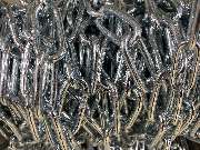 W. R. Scholz - GALLERY