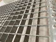 W. R. Scholz - GALLERY