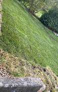 Wagner Garten und Bau - WhatsApp Image 2024-07-19 at 14.01.17-3.jpeg