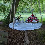 Wald-Zeremonien - GALLERY