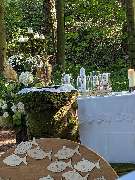 Wald-Zeremonien - GALLERY