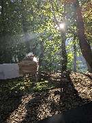 Wald-Zeremonien - GALLERY