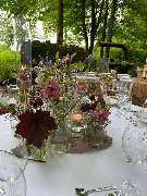 Wald-Zeremonien - GALLERY