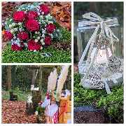 Wald-Zeremonien - GALLERY