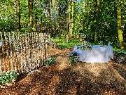 Wald-Zeremonien - GALLERY