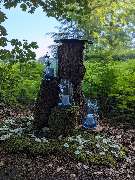 Wald-Zeremonien - GALLERY