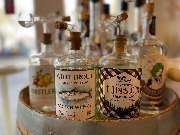 WALDDESIGNERIN - GALLERY