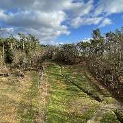 Bild von Waldeckischer WurftaubenClub Arolsen e.V. in Zierenberg - 2