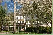 Waldgasthof & Hotel 