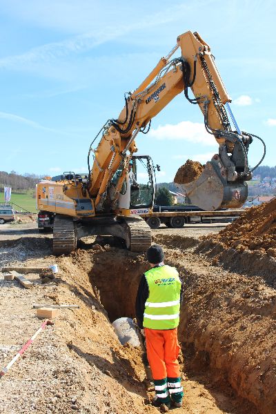 Walter Bauer - GALLERY