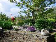 Walter Schmitz  Gärten für Auge und Seele - 10