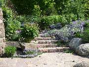 Walter Schmitz  Gärten für Auge und Seele - 11