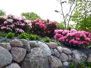 Walter Schmitz  Gärten für Auge und Seele - 12