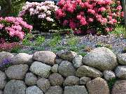 Walter Schmitz  Gärten für Auge und Seele - 13