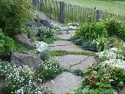 Walter Schmitz  Gärten für Auge und Seele - 14