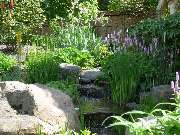 Walter Schmitz  Gärten für Auge und Seele - 15