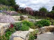 Walter Schmitz  Gärten für Auge und Seele - 20