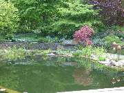 Walter Schmitz  Gärten für Auge und Seele - 8