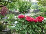 Walter Schmitz  Gärten für Auge und Seele - 9