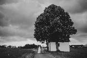 Walter Worm Photography - GALLERY