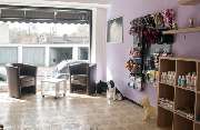 Wau-Style Der Hundesalon - Das Ladenlokal