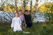 Bild von WB Fotografie in Barver - 3