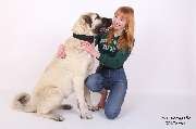Bild von WB Fotografie in Barver - 4